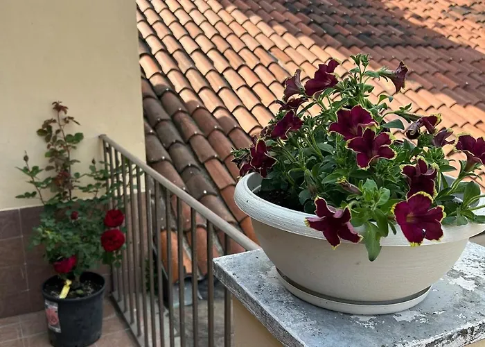 Lejlighed Terrazza Vista Mole - Mole View Terrace